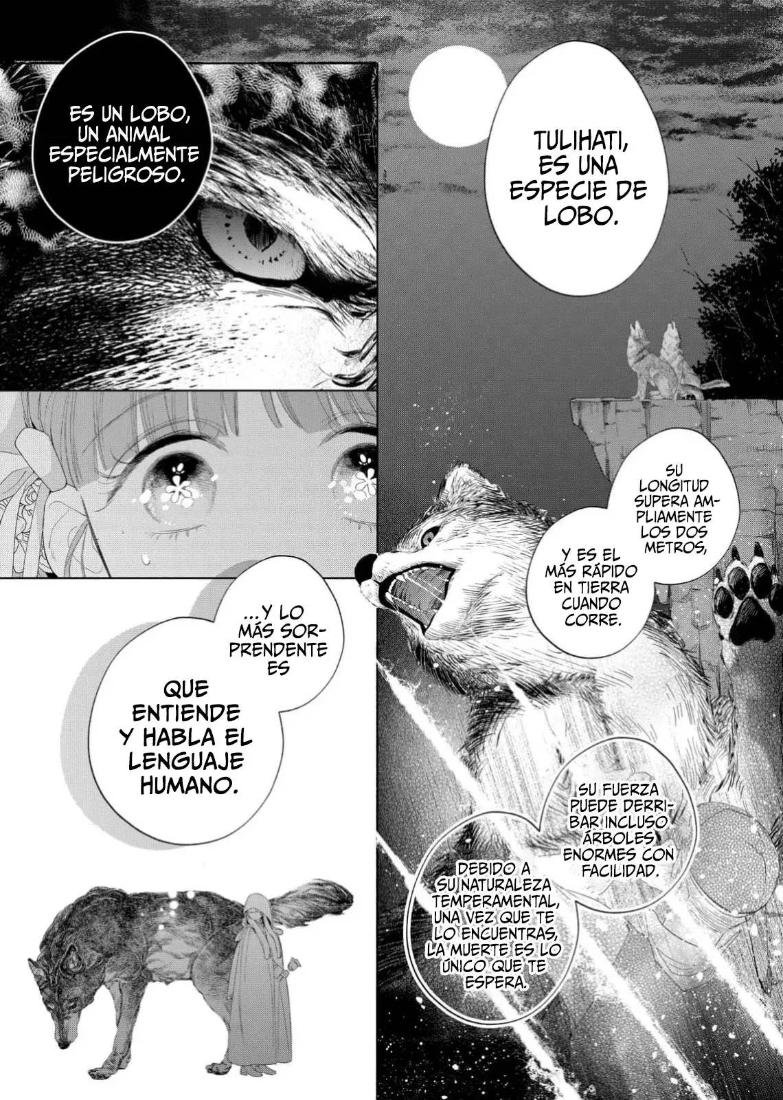 Hana himeru kimi no meteor Capitulo 30: El mata-lobos. página 12