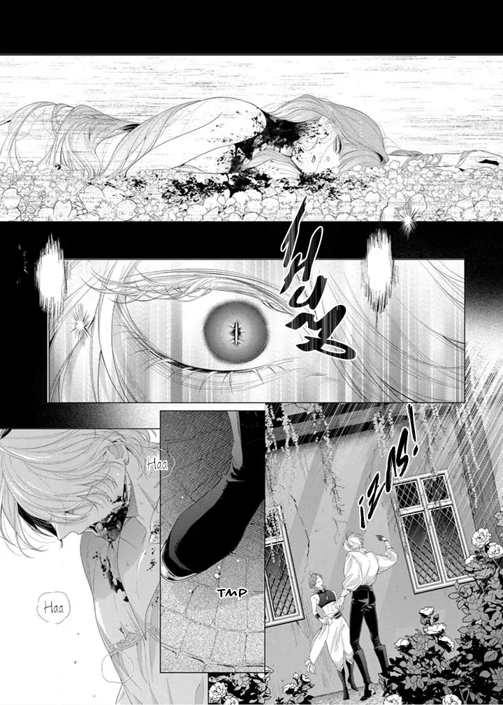 Hana himeru kimi no meteor Capitulo 32: Porque... eres mi príncipe. página 34