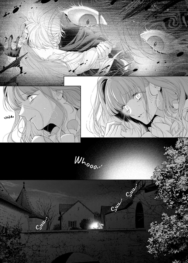 Hana himeru kimi no meteor Capitulo 33 página 12