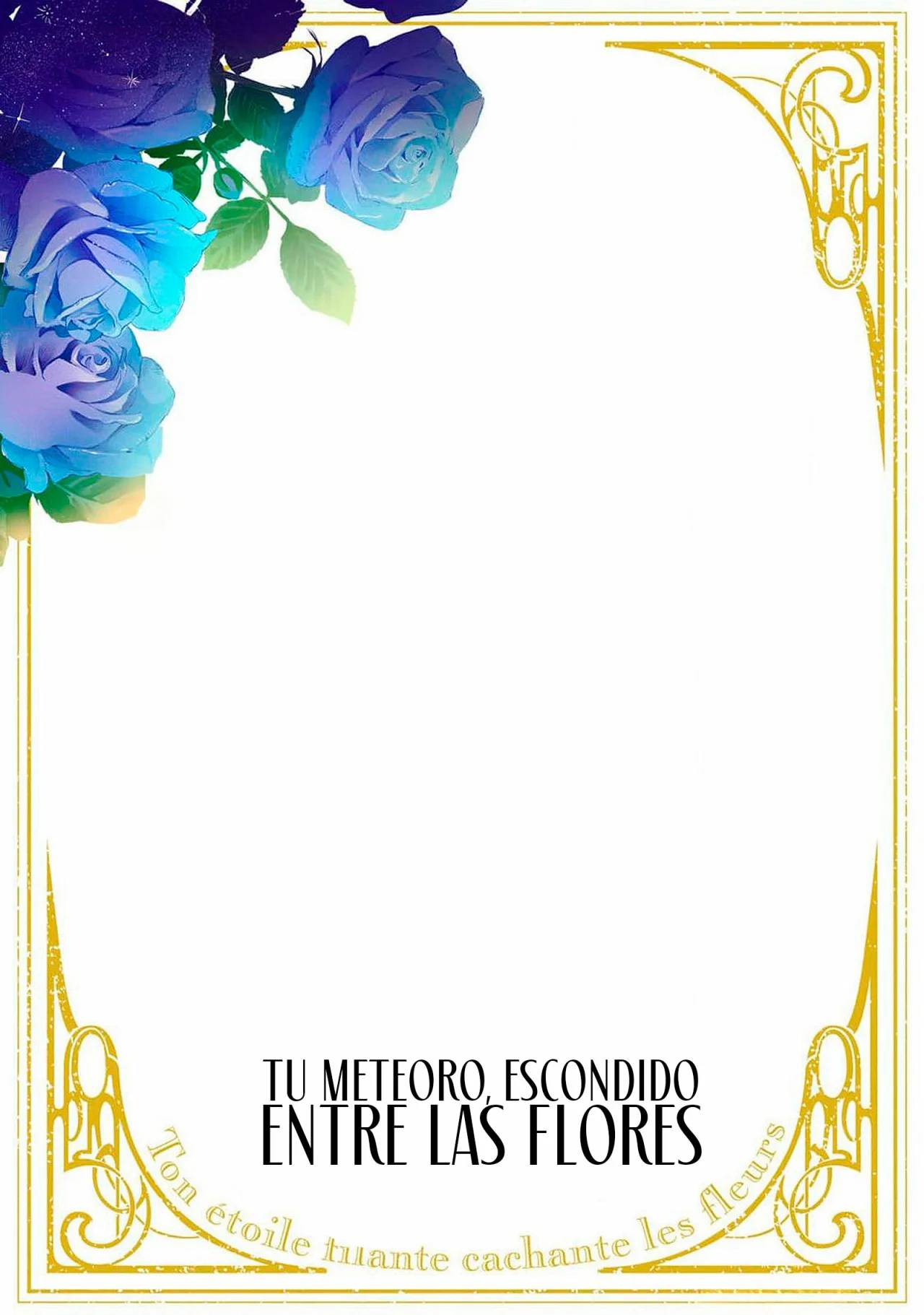 Hana himeru kimi no meteor Capitulo 33 página 47