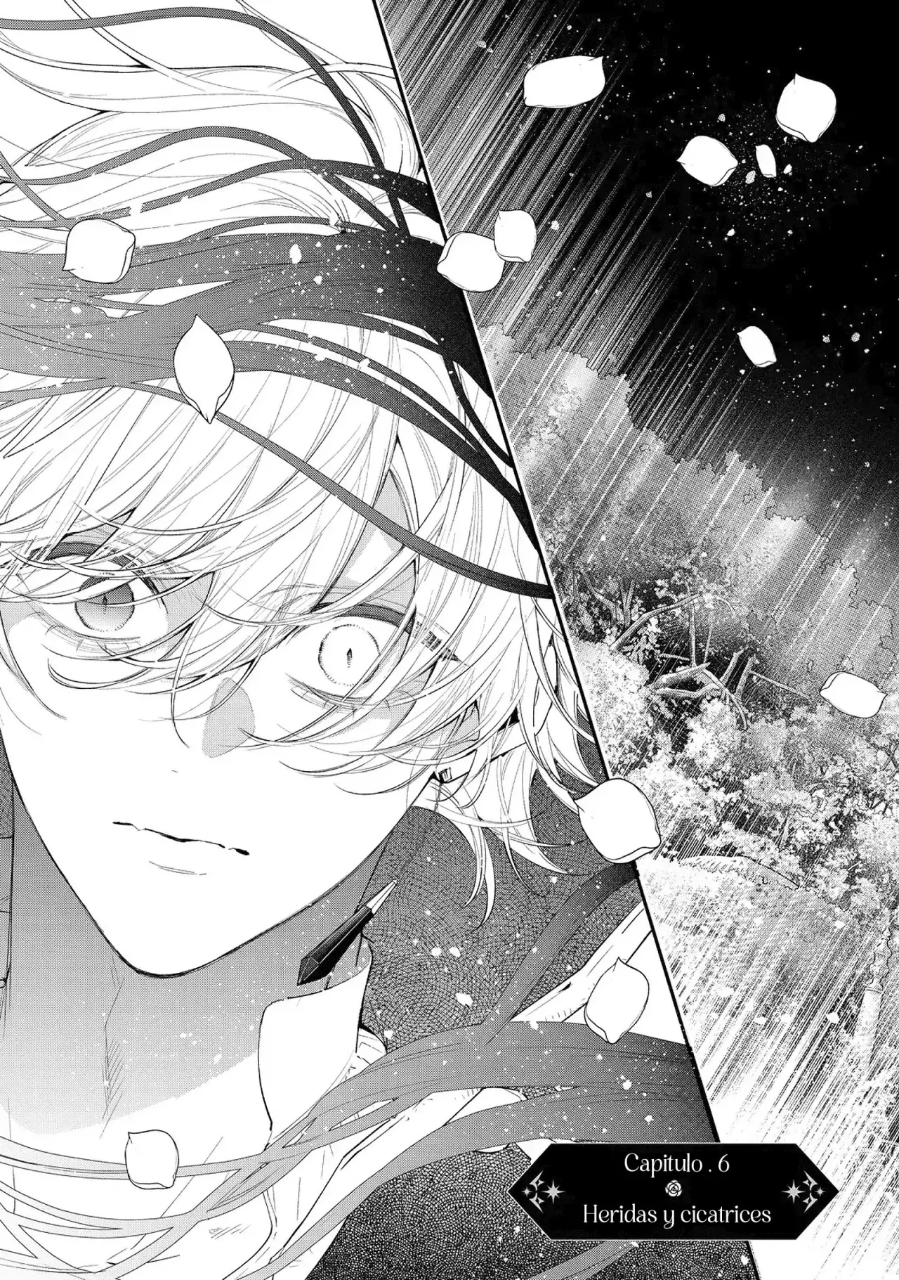 Hana himeru kimi no meteor Capitulo 6: Heridas y cicatrices página 2