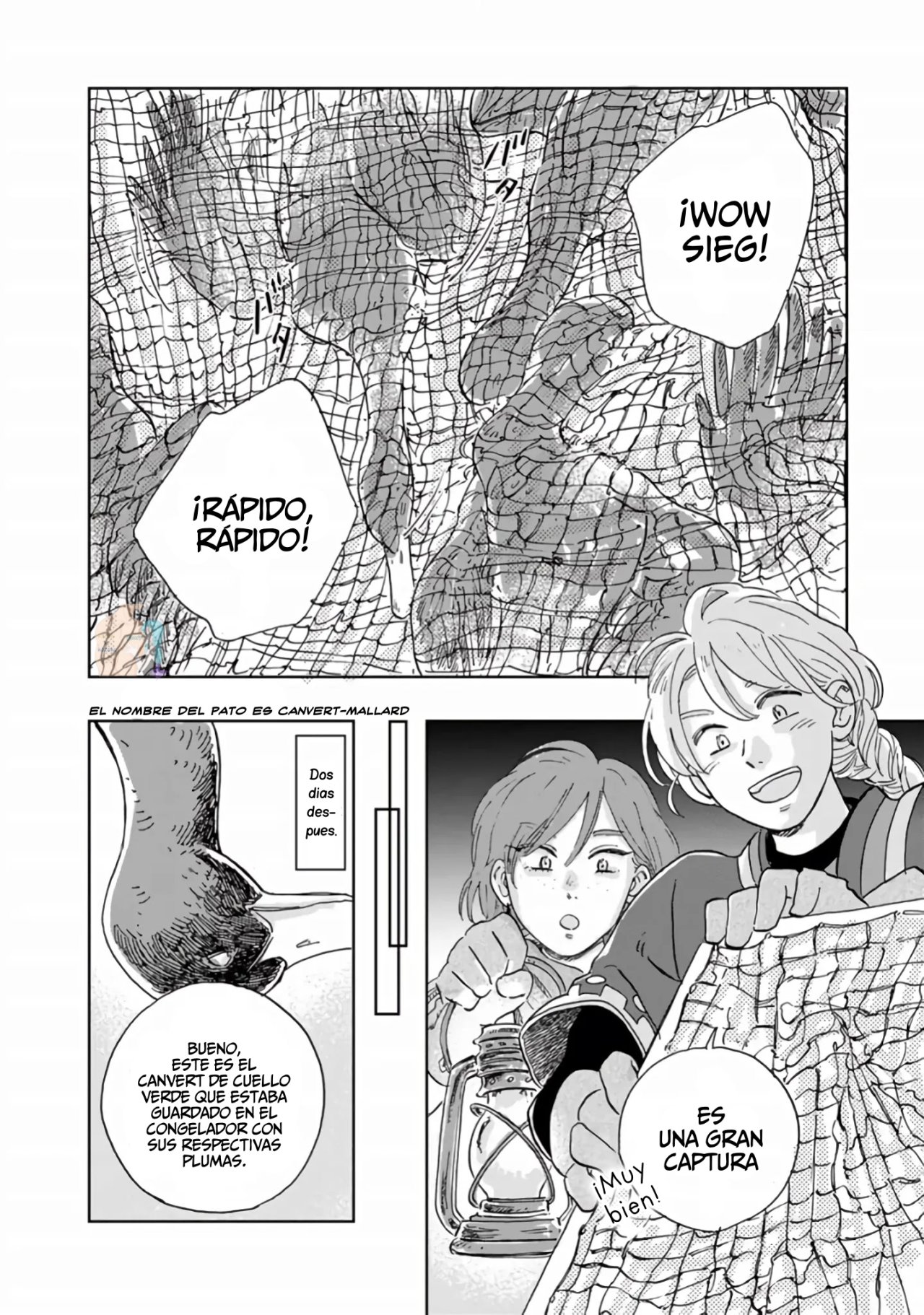 Hokuou Kizoku to Moukinzuma no Yukiguni Karigurashi Capitulo 29 página 11