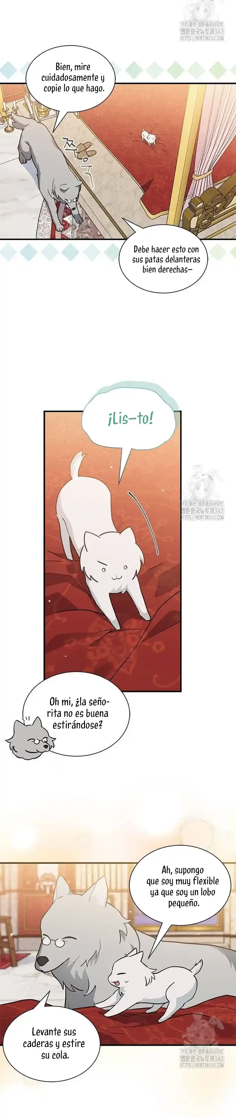 Es un gato, ¿pero fue adoptada por una familia de lobos? Capitulo 19 página 22