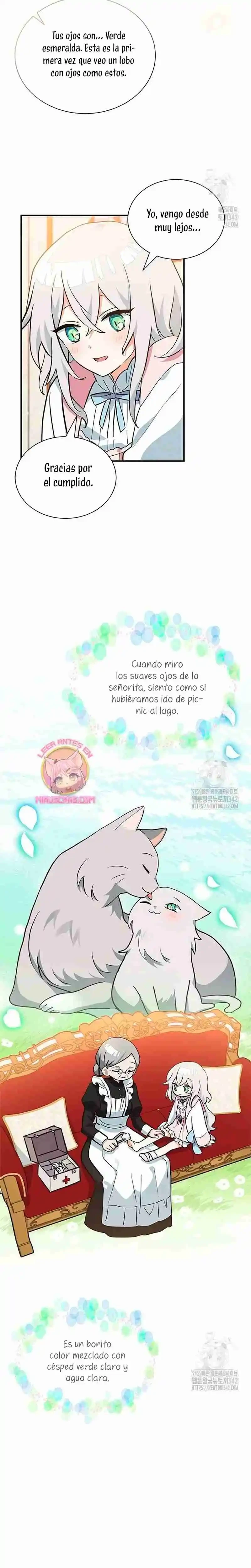 Es un gato, ¿pero fue adoptada por una familia de lobos? Capitulo 4 página 17