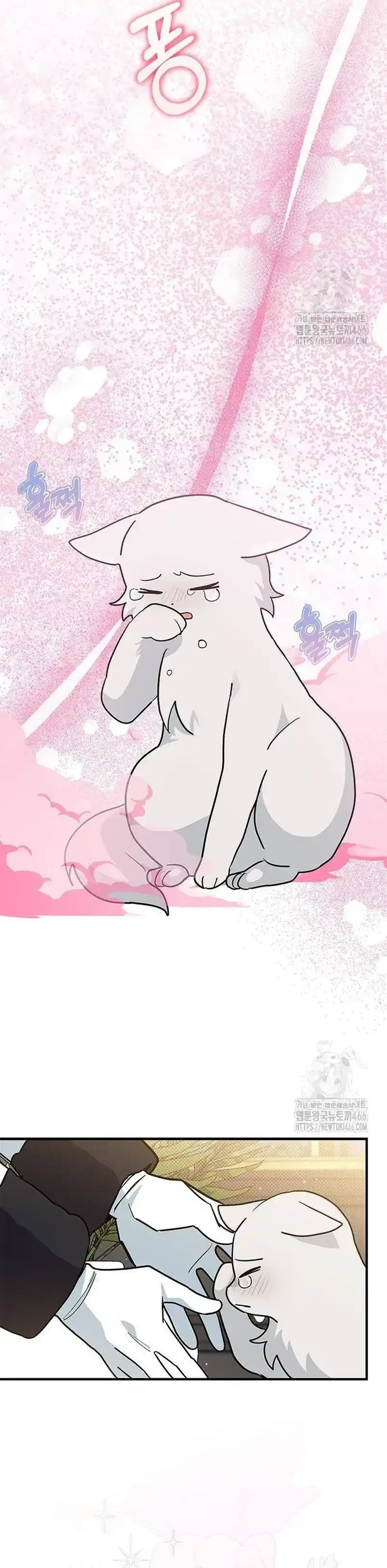 Es un gato, ¿pero fue adoptada por una familia de lobos? Capitulo 42 página 10
