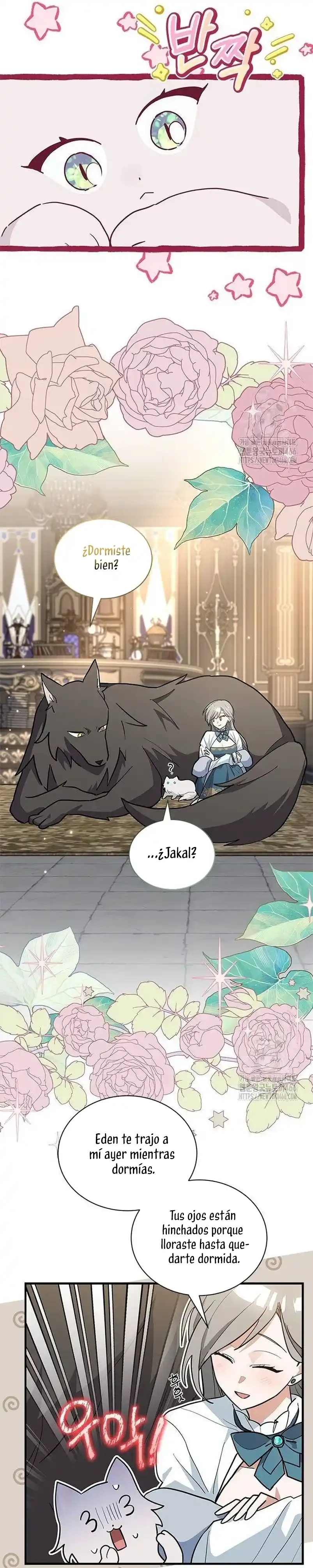 Es un gato, ¿pero fue adoptada por una familia de lobos? Capitulo 42 página 17