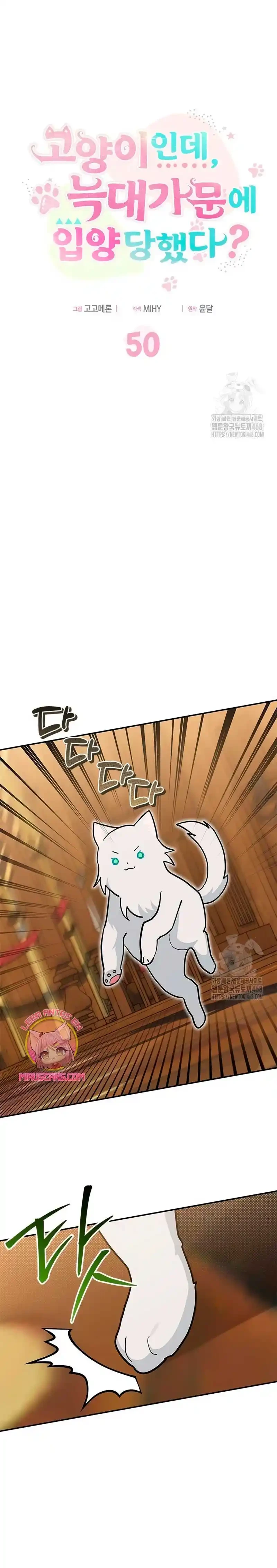 Es un gato, ¿pero fue adoptada por una familia de lobos? Capitulo 50 página 4