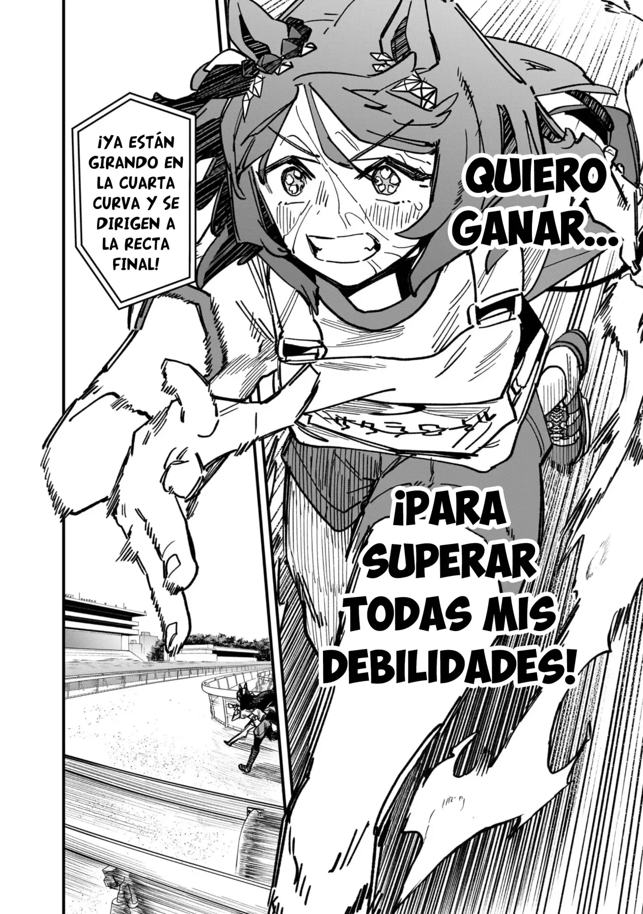 Uma Musume Pretty Derby: Star Blossom Capitulo 19: Recta Final página 13