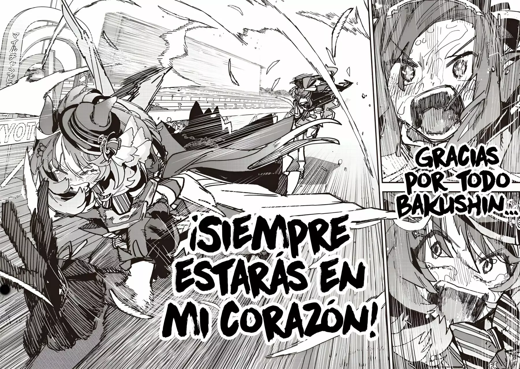 Uma Musume Pretty Derby: Star Blossom Capitulo 51: Una Simple Milla página 17