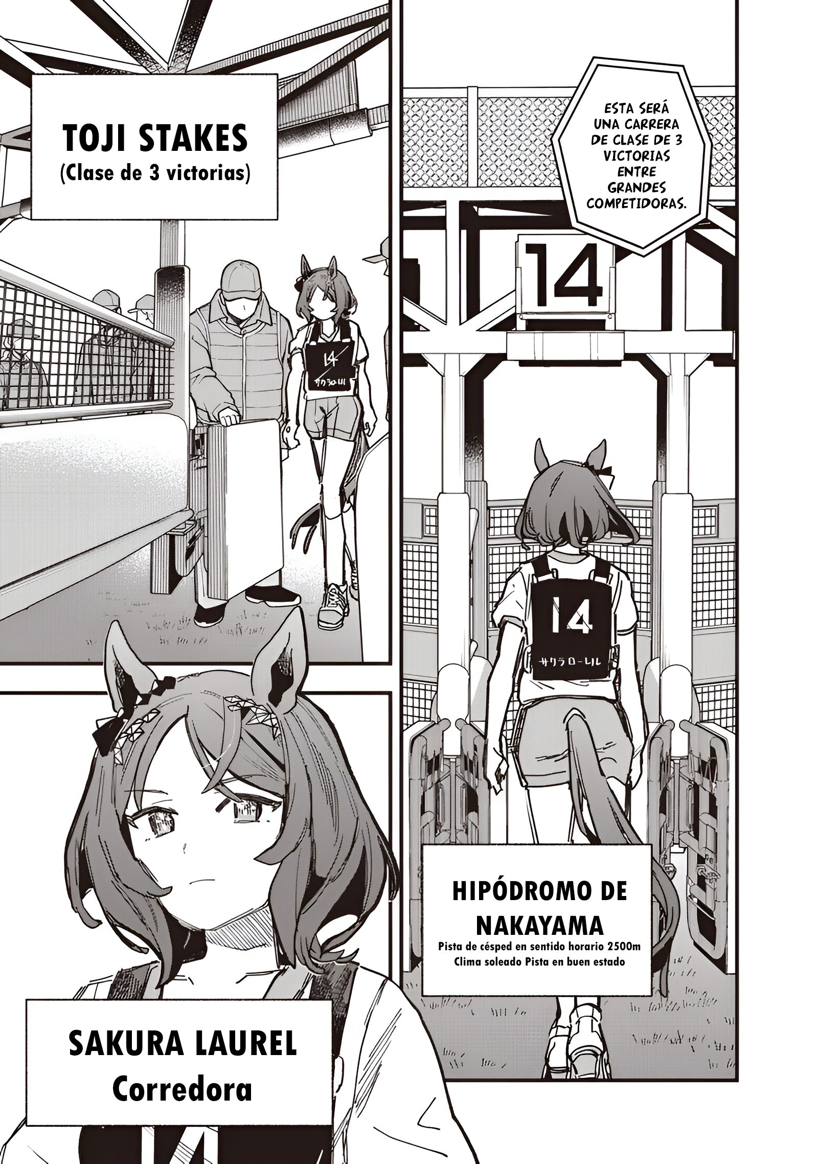 Uma Musume Pretty Derby: Star Blossom Capitulo 53 página 4