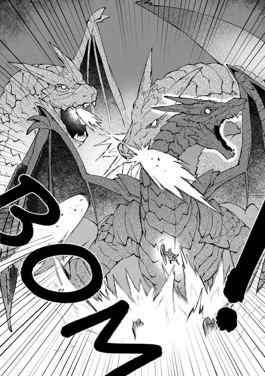 To aru Ossan no VRMMO Katsudouki Capitulo 63 página 12