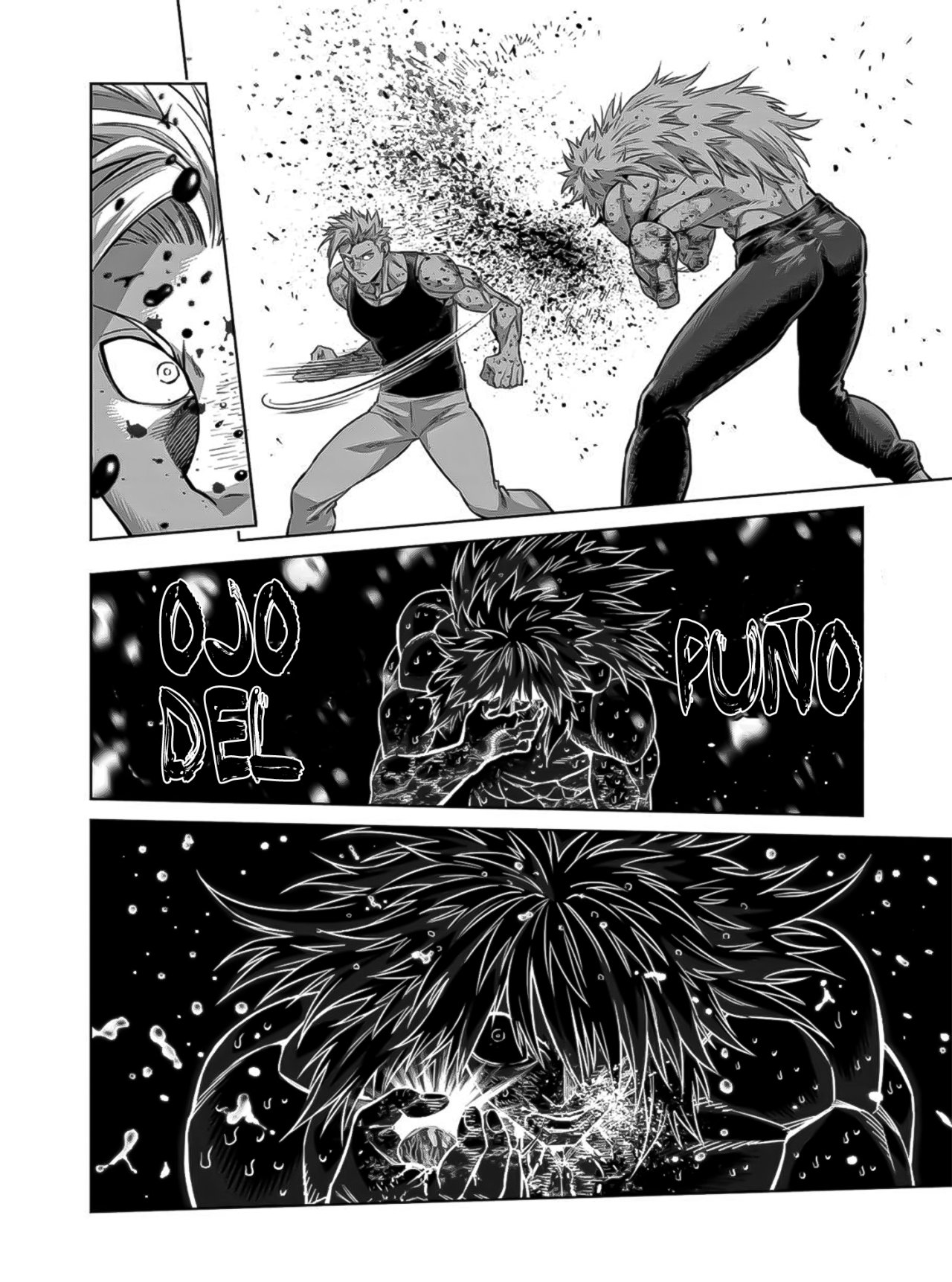 Kengan Omega Capitulo 158: Lo imperdonable página 17