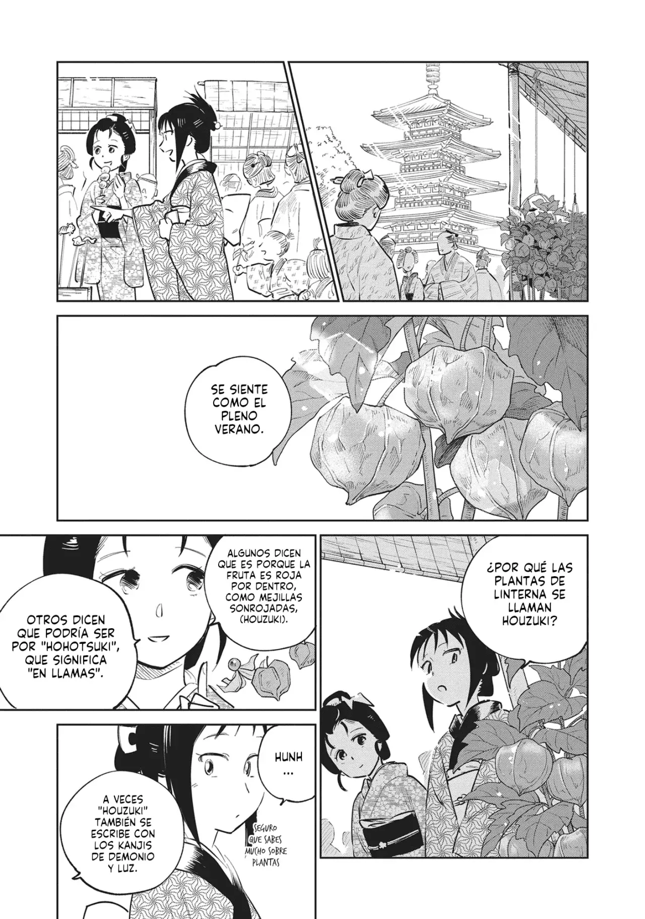 Kijin Gentoushou Capitulo 25: Sueños florecientes del Kanzashi (1) página 12