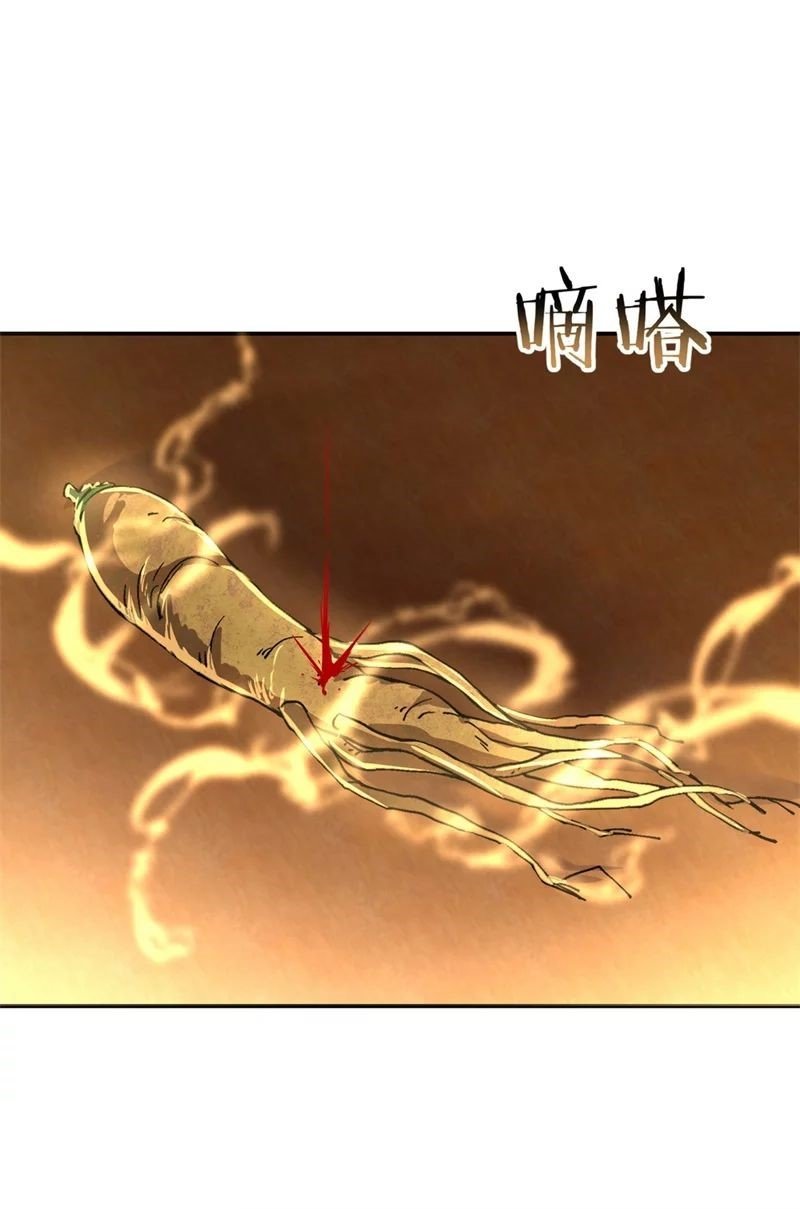 Peerless Battle Spirit Capitulo 106 página 25