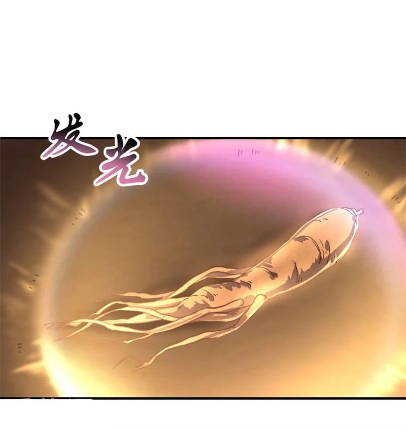 Peerless Battle Spirit Capitulo 108 página 4