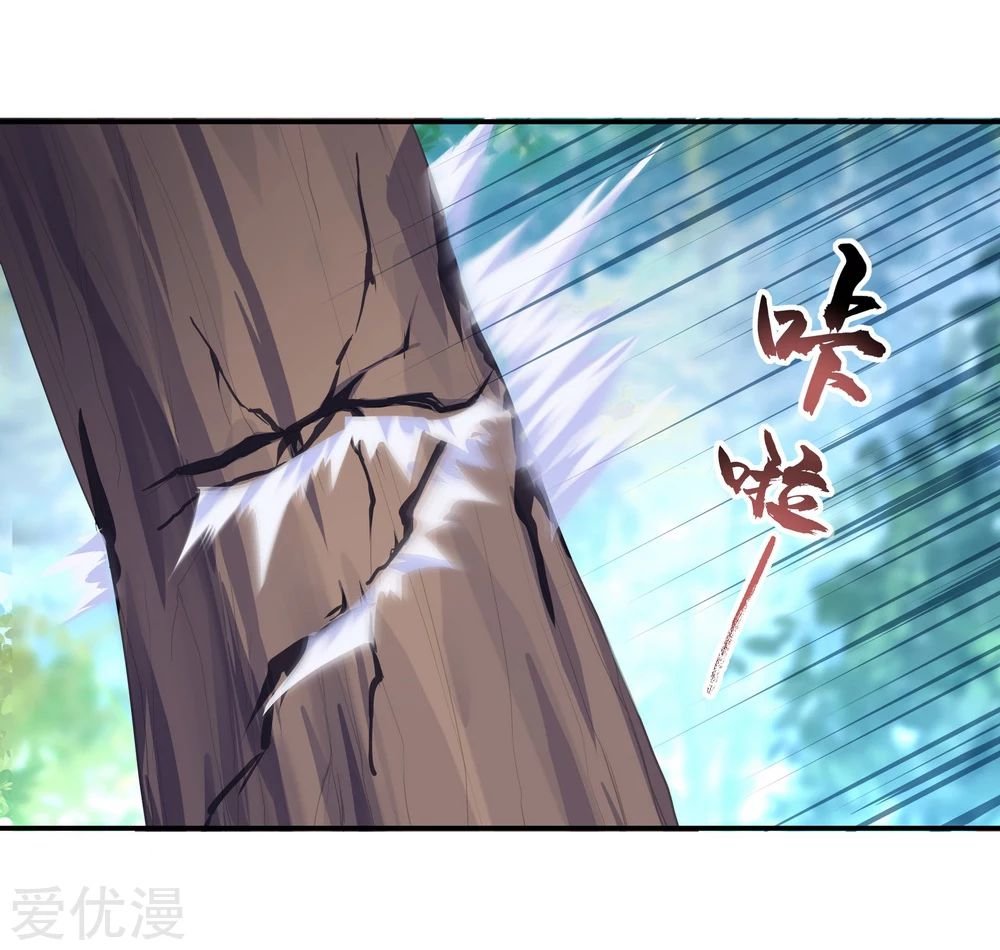 Peerless Battle Spirit Capitulo 11 página 13