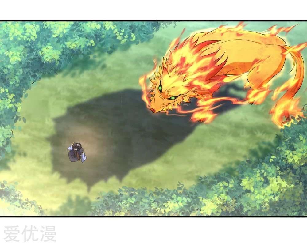 Peerless Battle Spirit Capitulo 12 página 25