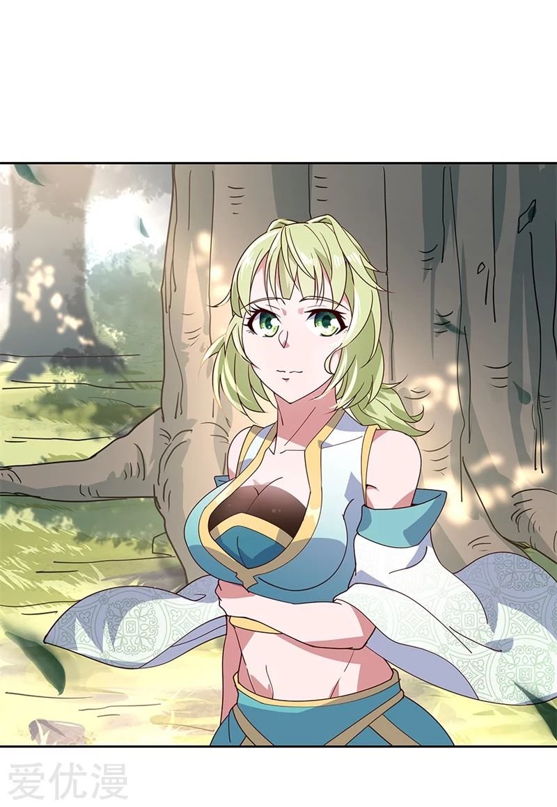 Peerless Battle Spirit Capitulo 136 página 25