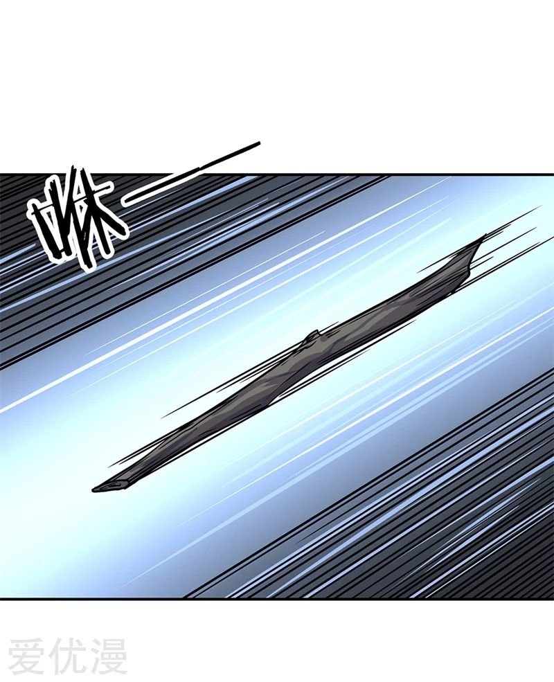 Peerless Battle Spirit Capitulo 139 página 8