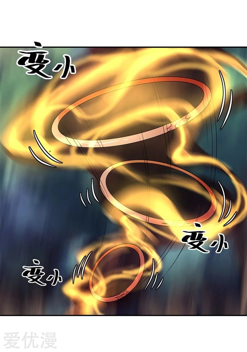 Peerless Battle Spirit Capitulo 189 página 22