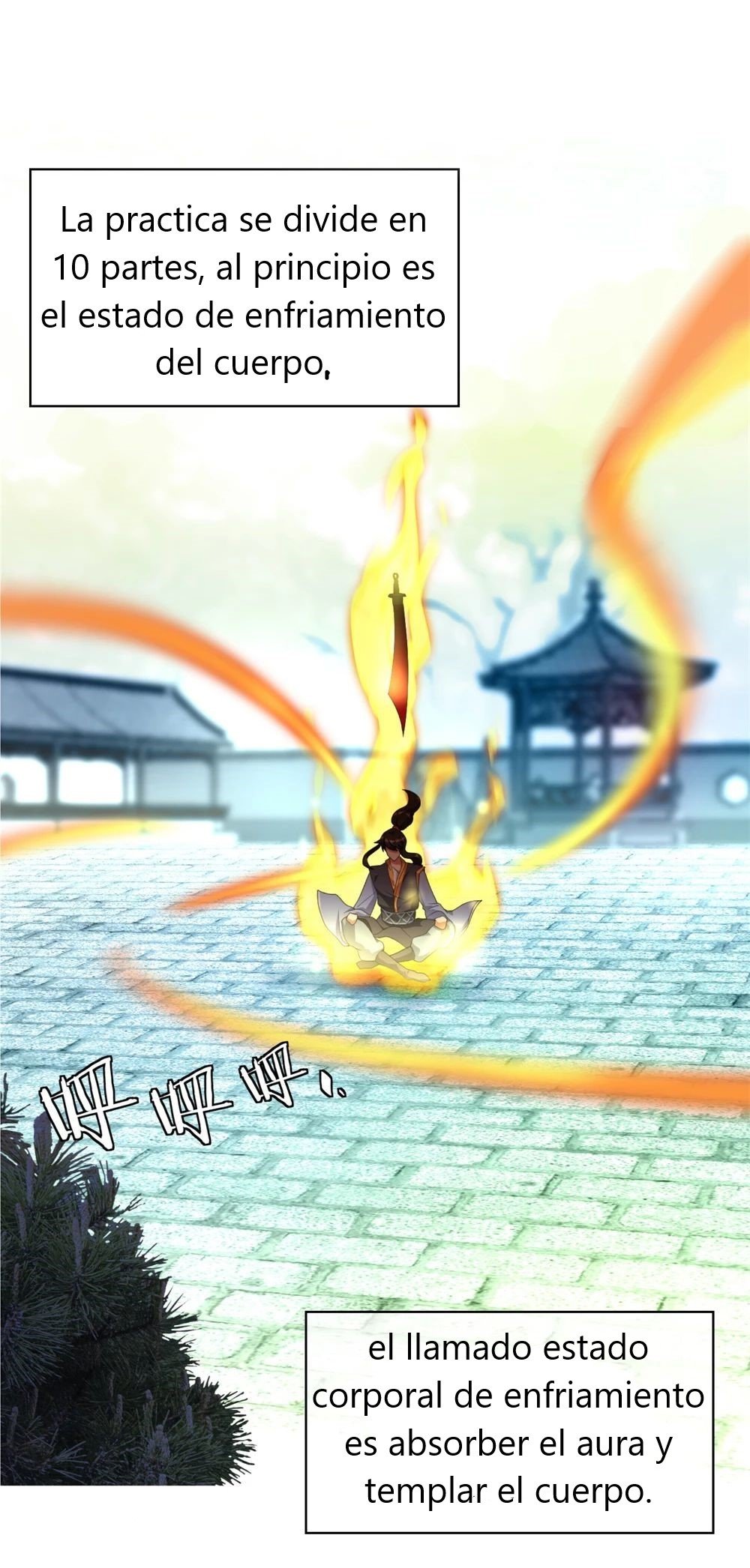Peerless Battle Spirit Capitulo 2 página 24