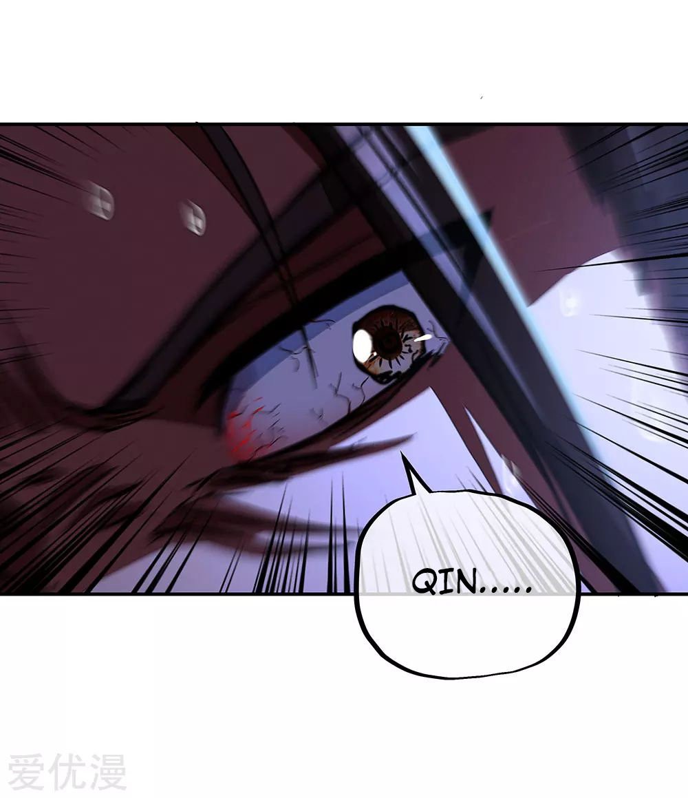 Peerless Battle Spirit Capitulo 246 página 13