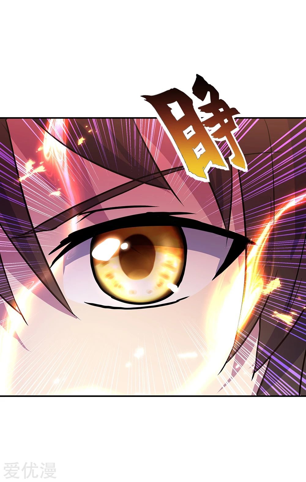 Peerless Battle Spirit Capitulo 273 página 14