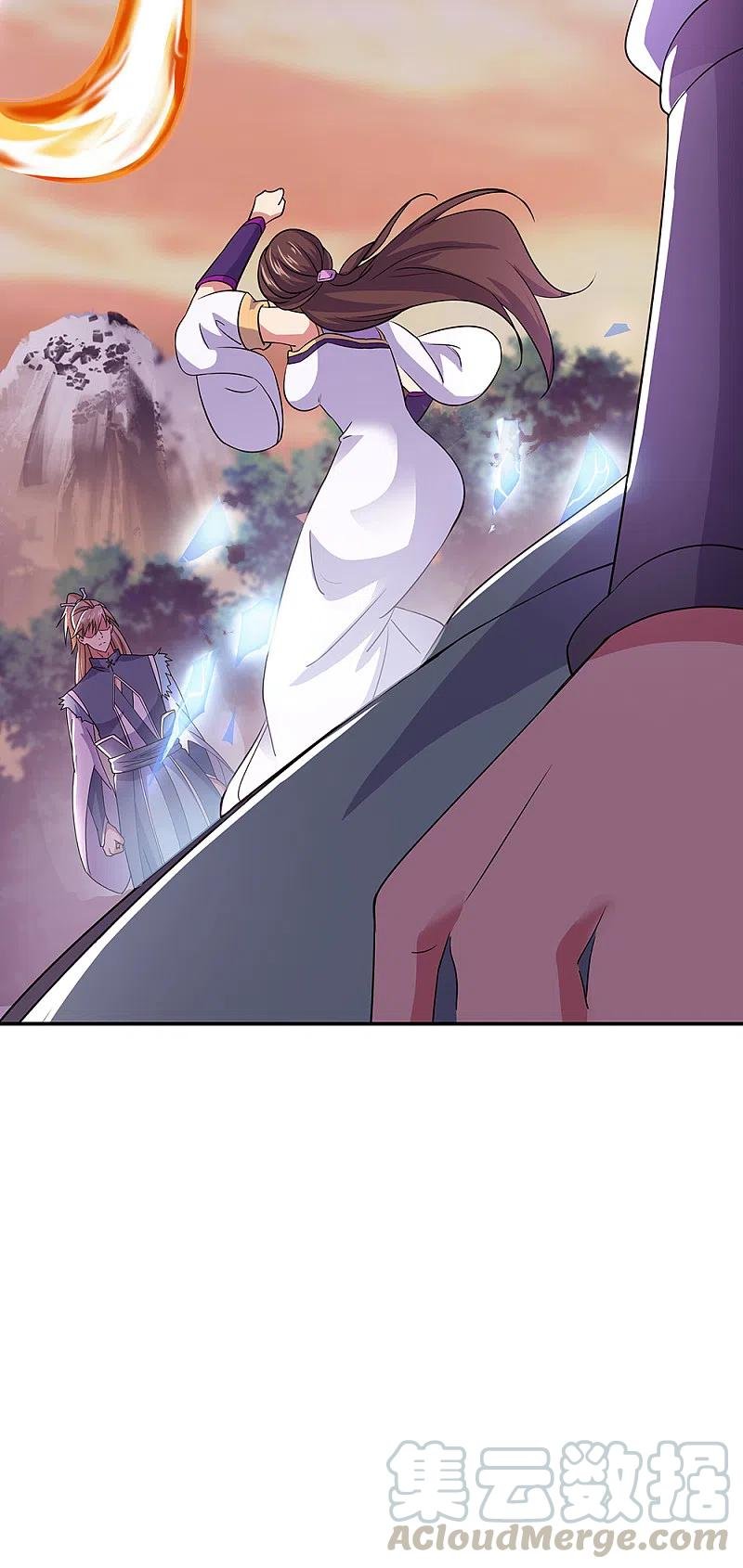 Peerless Battle Spirit Capitulo 285 página 17