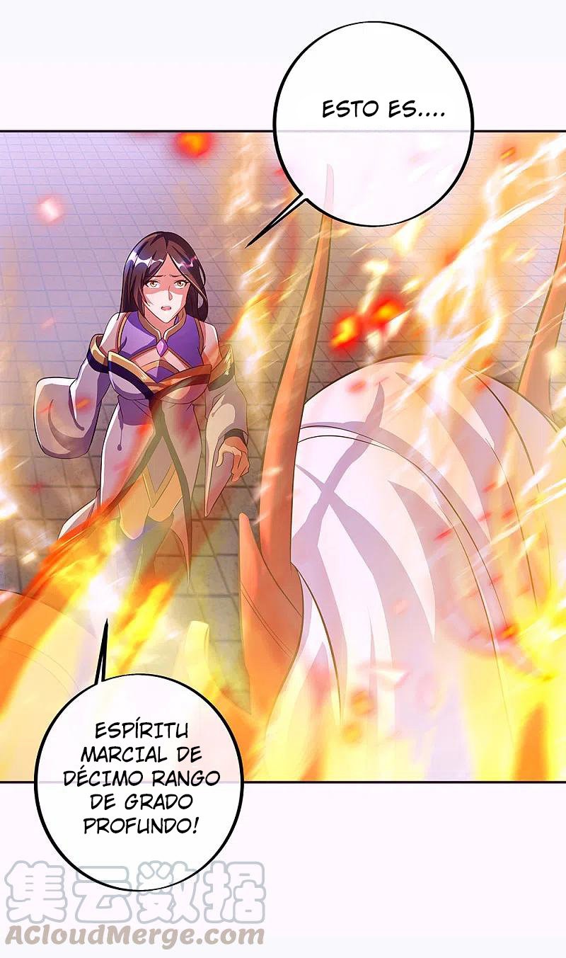 Peerless Battle Spirit Capitulo 287 página 17