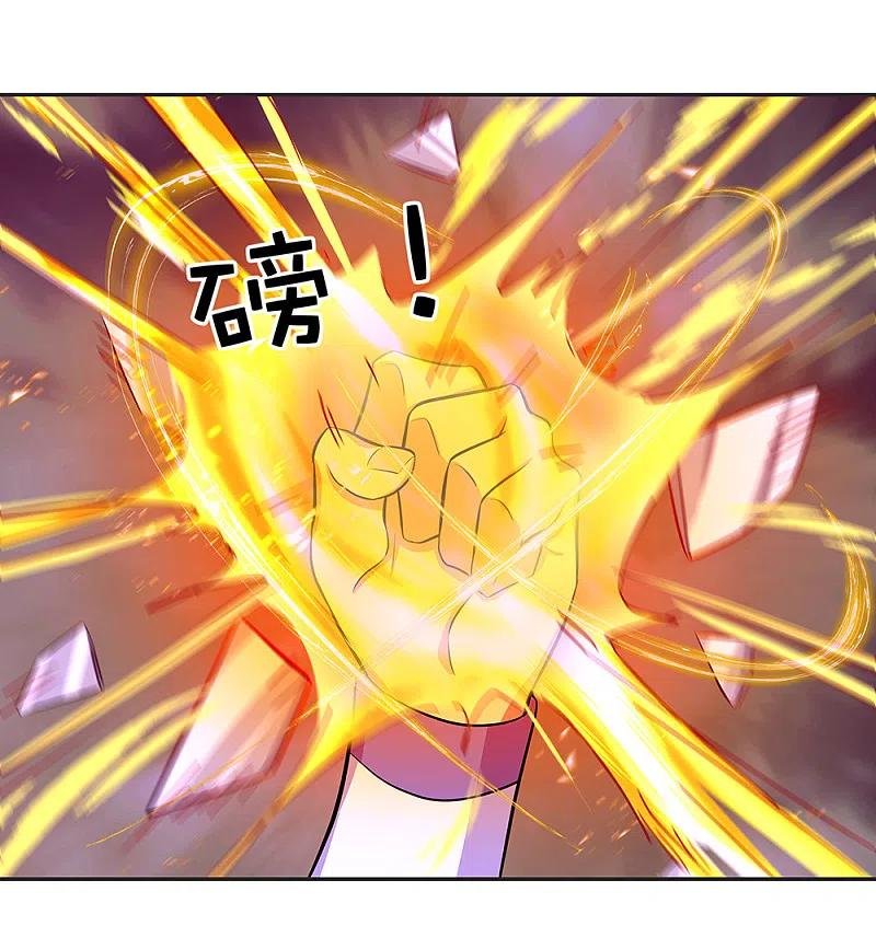 Peerless Battle Spirit Capitulo 287 página 7