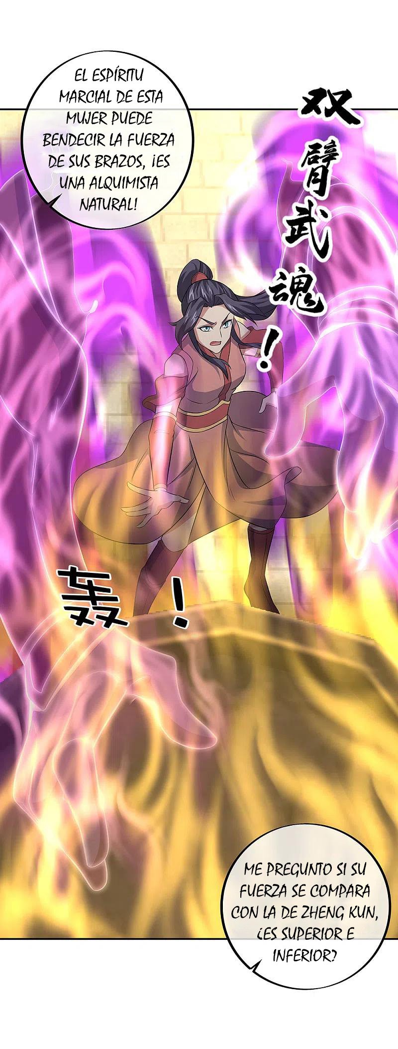 Peerless Battle Spirit Capitulo 291 página 25