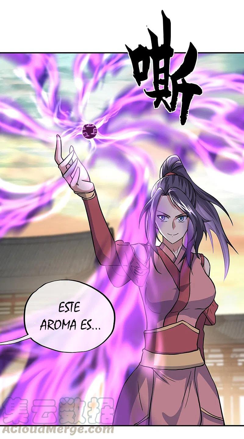 Peerless Battle Spirit Capitulo 291 página 35