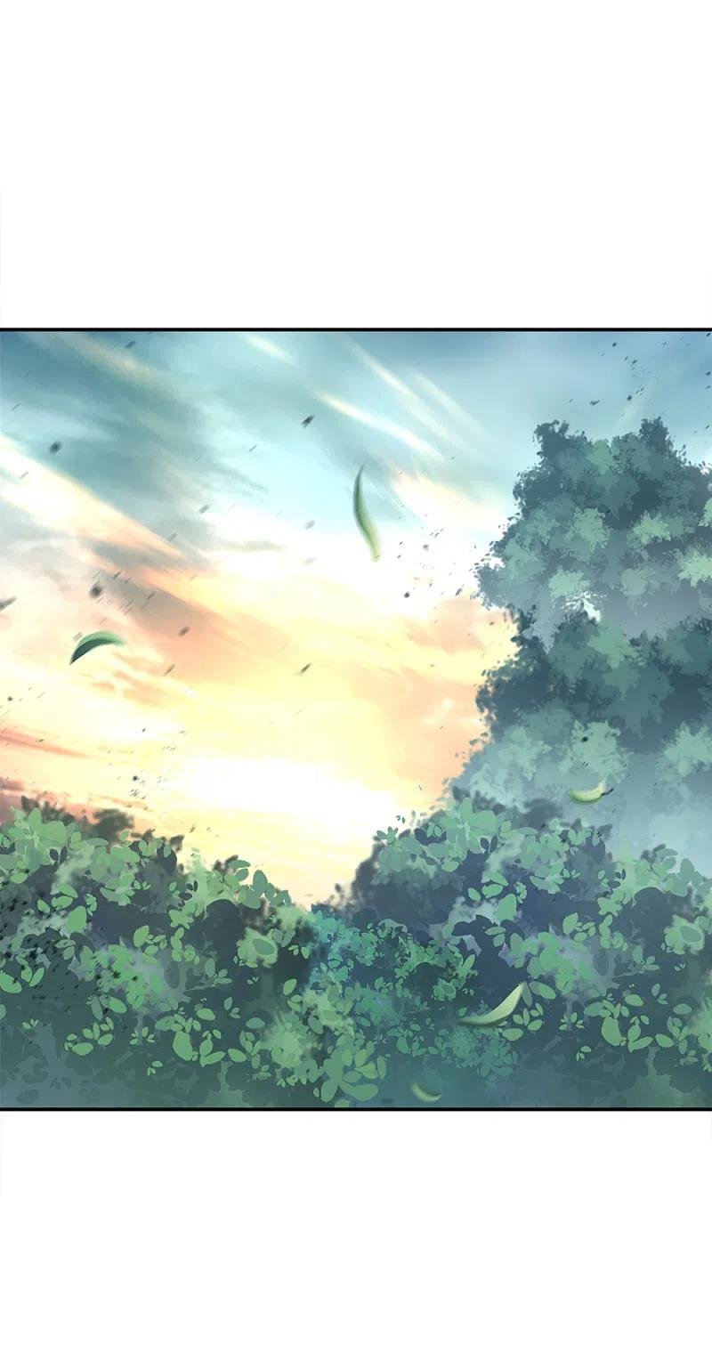 Peerless Battle Spirit Capitulo 293 página 45