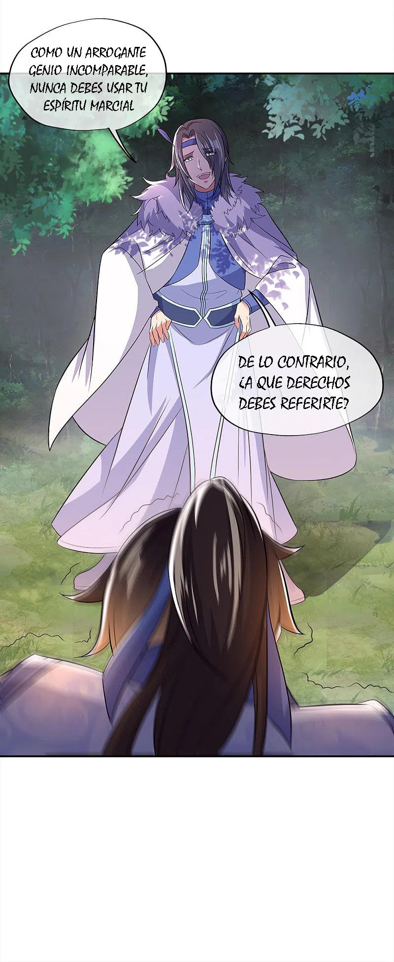 Peerless Battle Spirit Capitulo 295 página 41