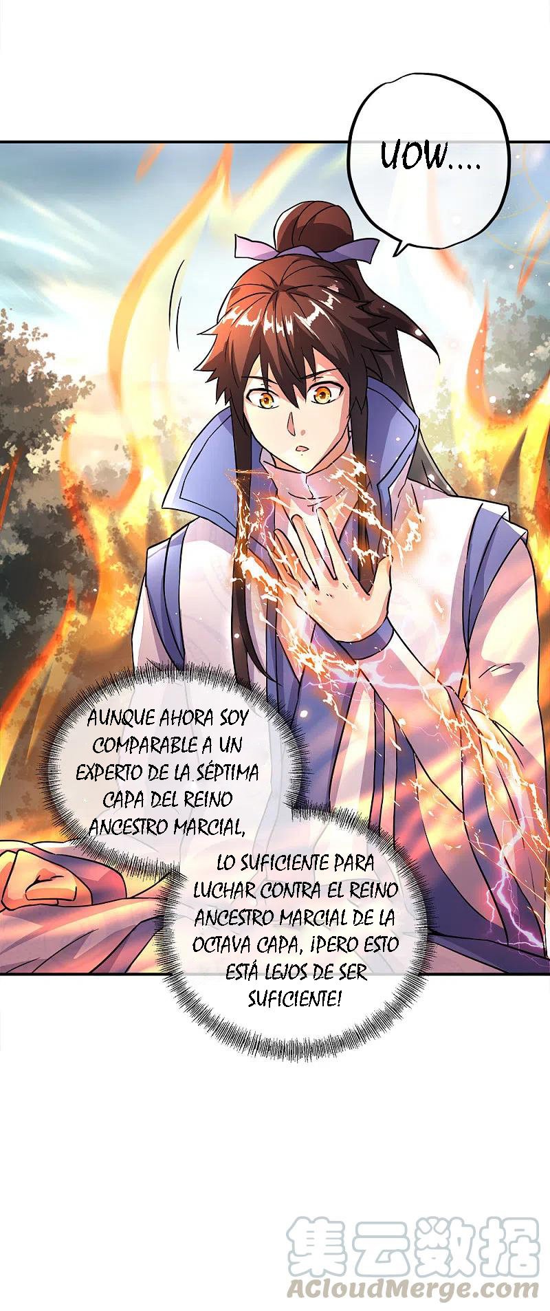 Peerless Battle Spirit Capitulo 296 página 24