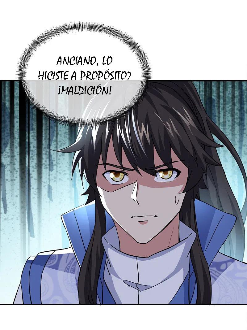 Peerless Battle Spirit Capitulo 298 página 17