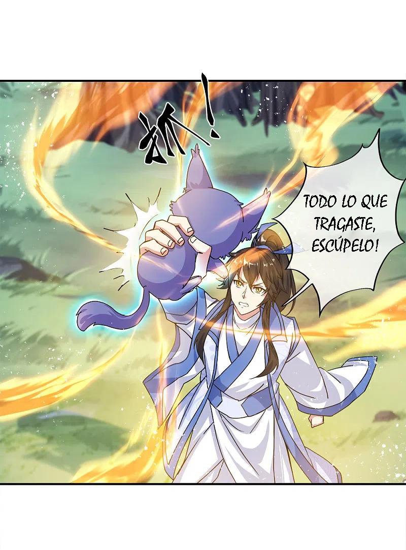 Peerless Battle Spirit Capitulo 300: Peerless Battle Spirit página 43