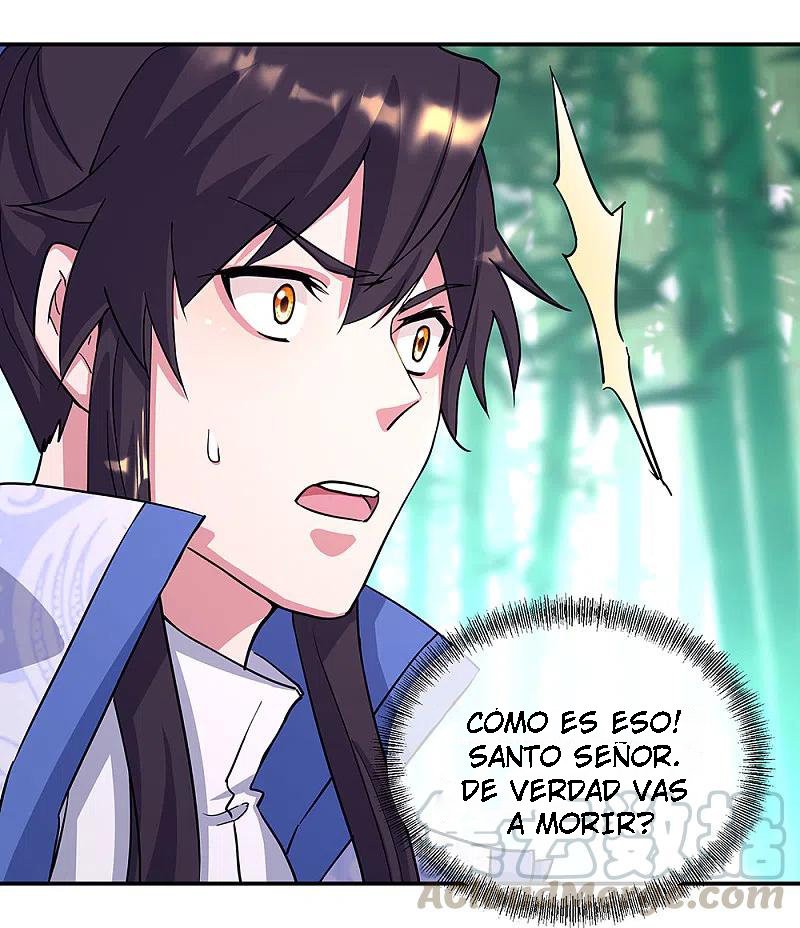 Peerless Battle Spirit Capitulo 304 página 46