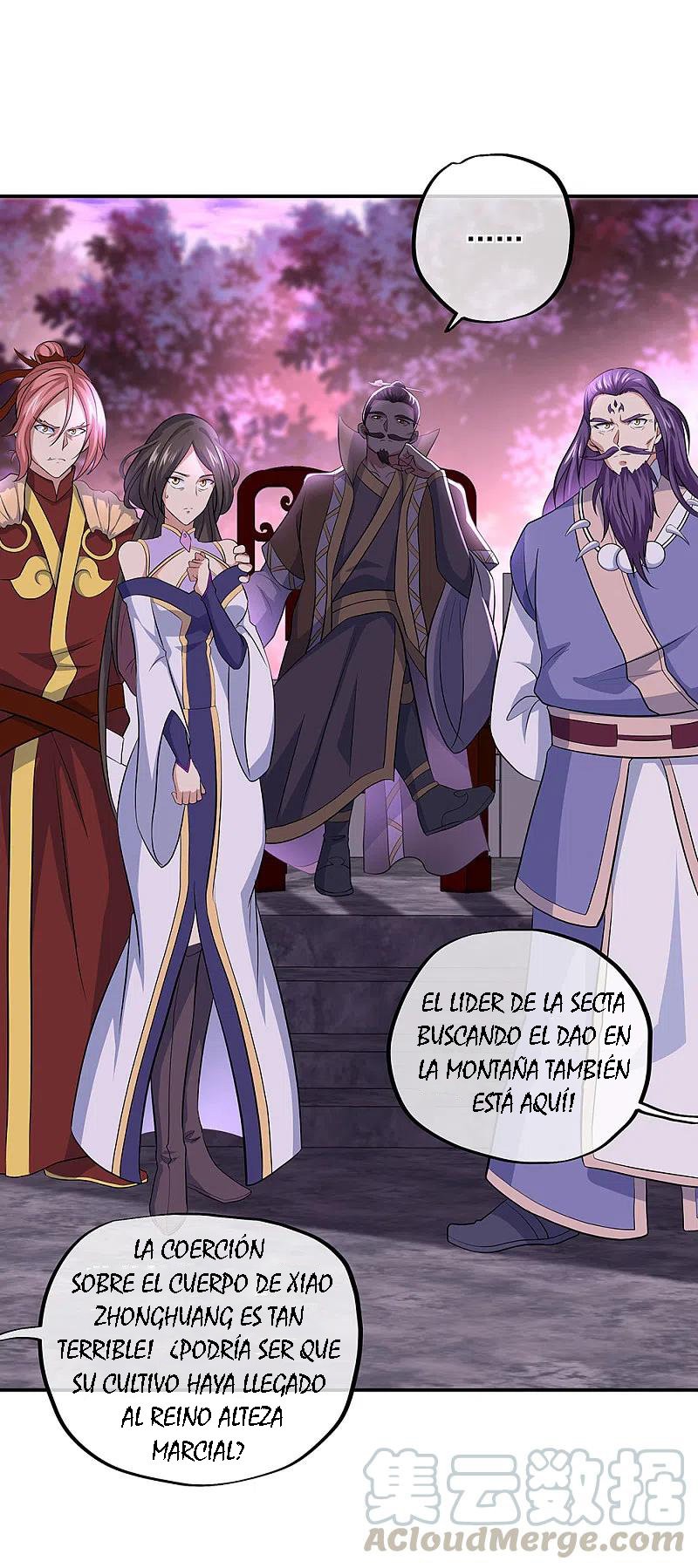 Peerless Battle Spirit Capitulo 310 página 14