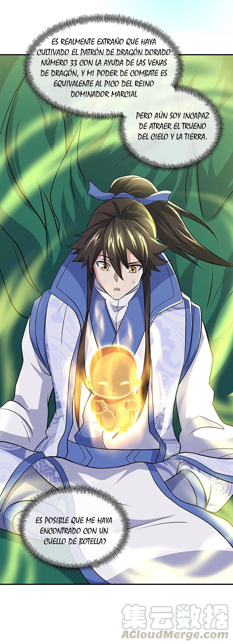 Peerless Battle Spirit Capitulo 310 página 8