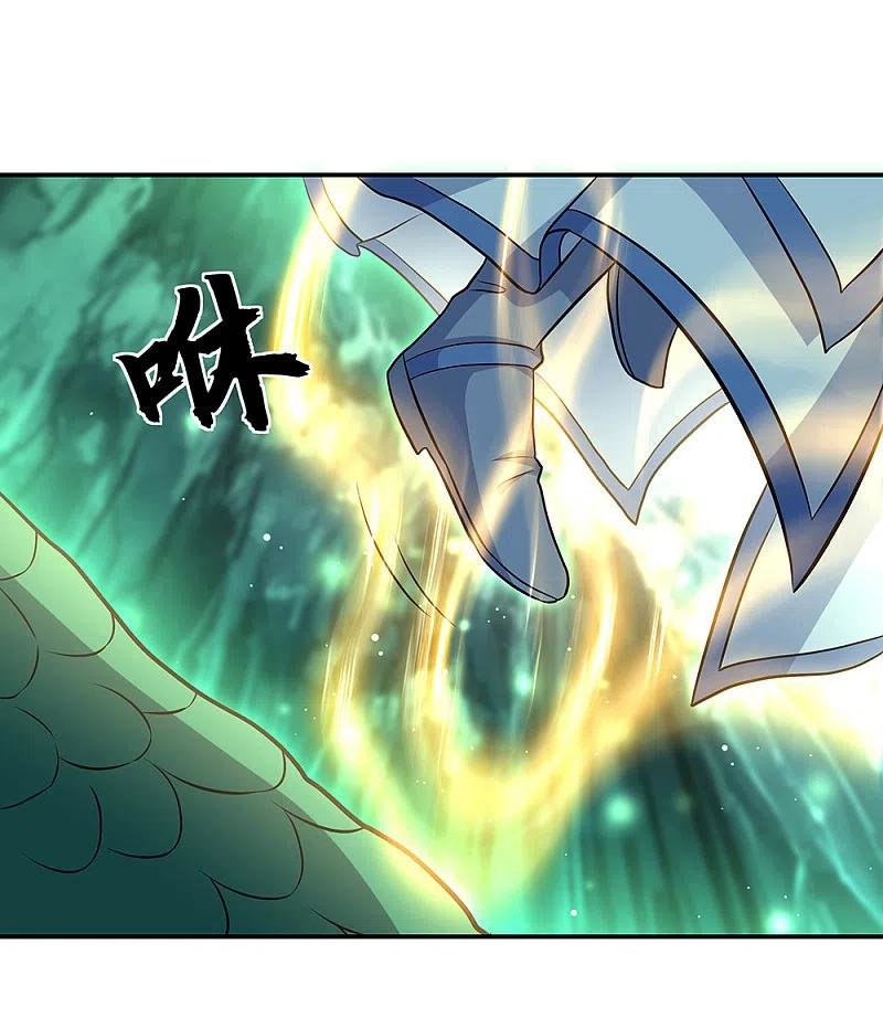 Peerless Battle Spirit Capitulo 310 página 9