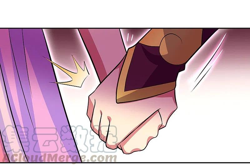 Peerless Battle Spirit Capitulo 312 página 23