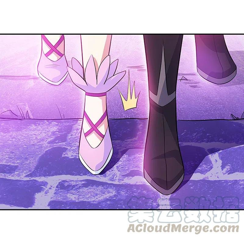 Peerless Battle Spirit Capitulo 312 página 26