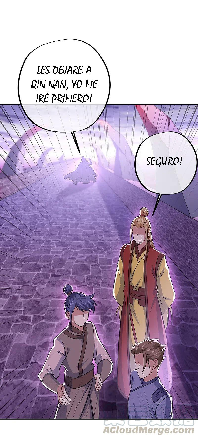 Peerless Battle Spirit Capitulo 312 página 35