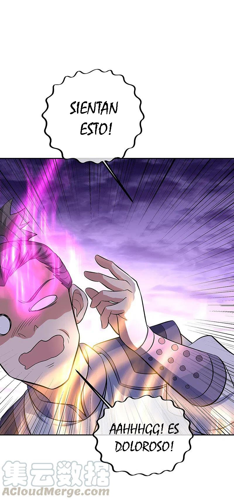 Peerless Battle Spirit Capitulo 312 página 41