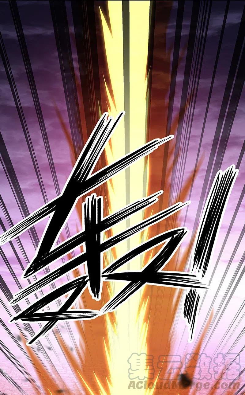 Peerless Battle Spirit Capitulo 312 página 47