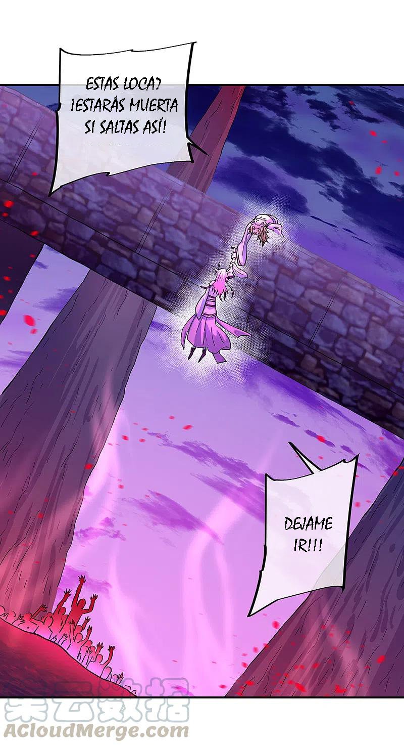 Peerless Battle Spirit Capitulo 313 página 28