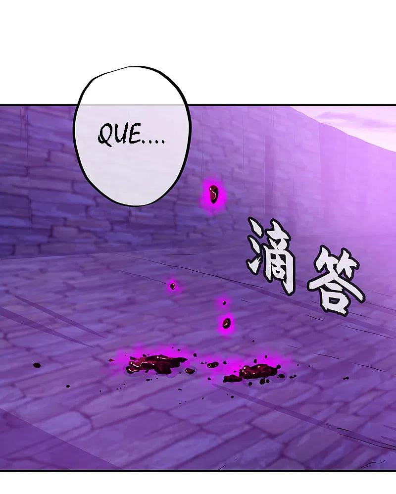 Peerless Battle Spirit Capitulo 313 página 35