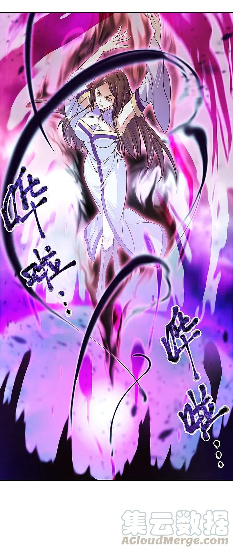 Peerless Battle Spirit Capitulo 317 página 12