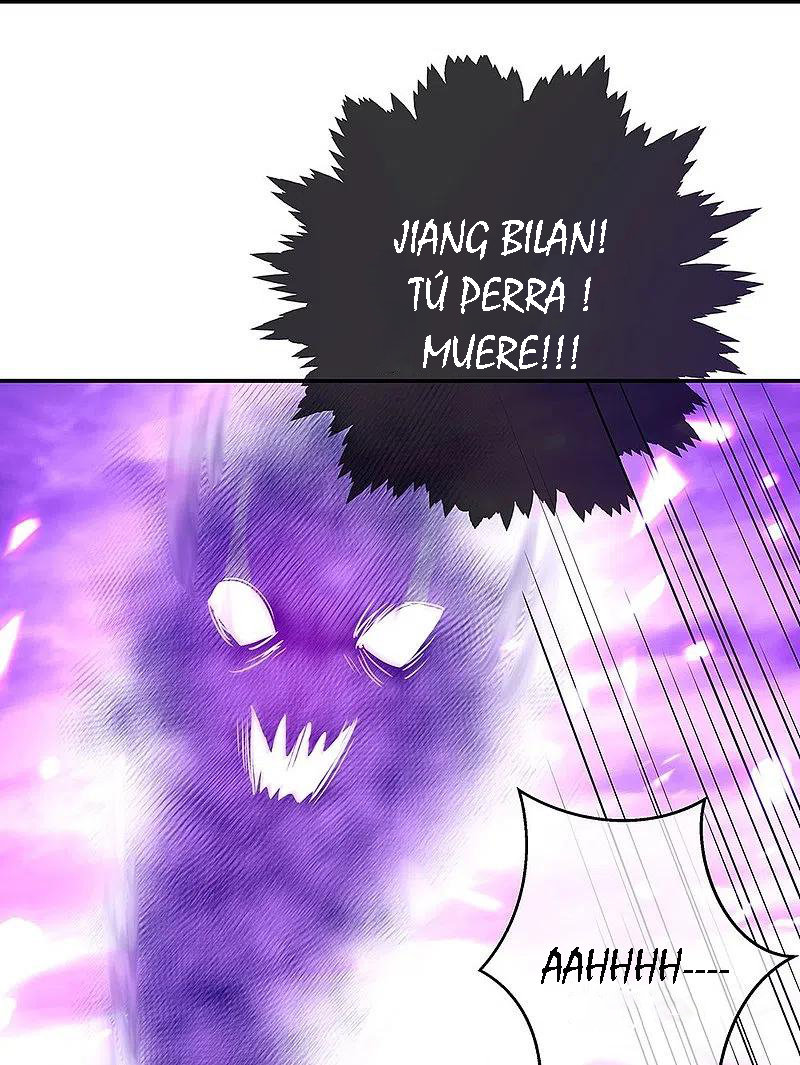 Peerless Battle Spirit Capitulo 318 página 33